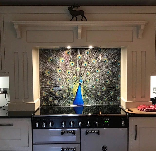 Peacock Splashback