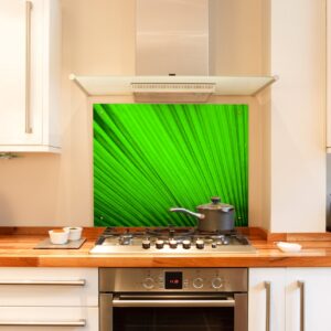 Reed kitchen splashabck